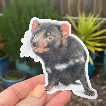 Tasmanian Devil Sticker