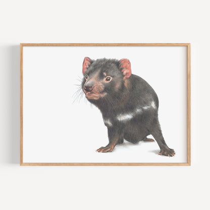 Tasmanian Devil Fine Art Print