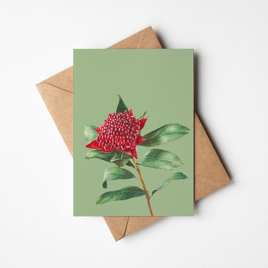 Waratah/green Greeting Card