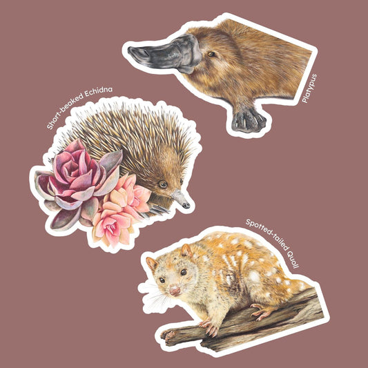 Wildlife 1 - Set of 3 stickers