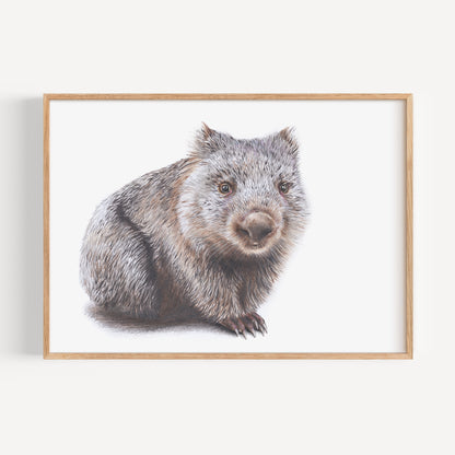 Wombat Fine Art Print