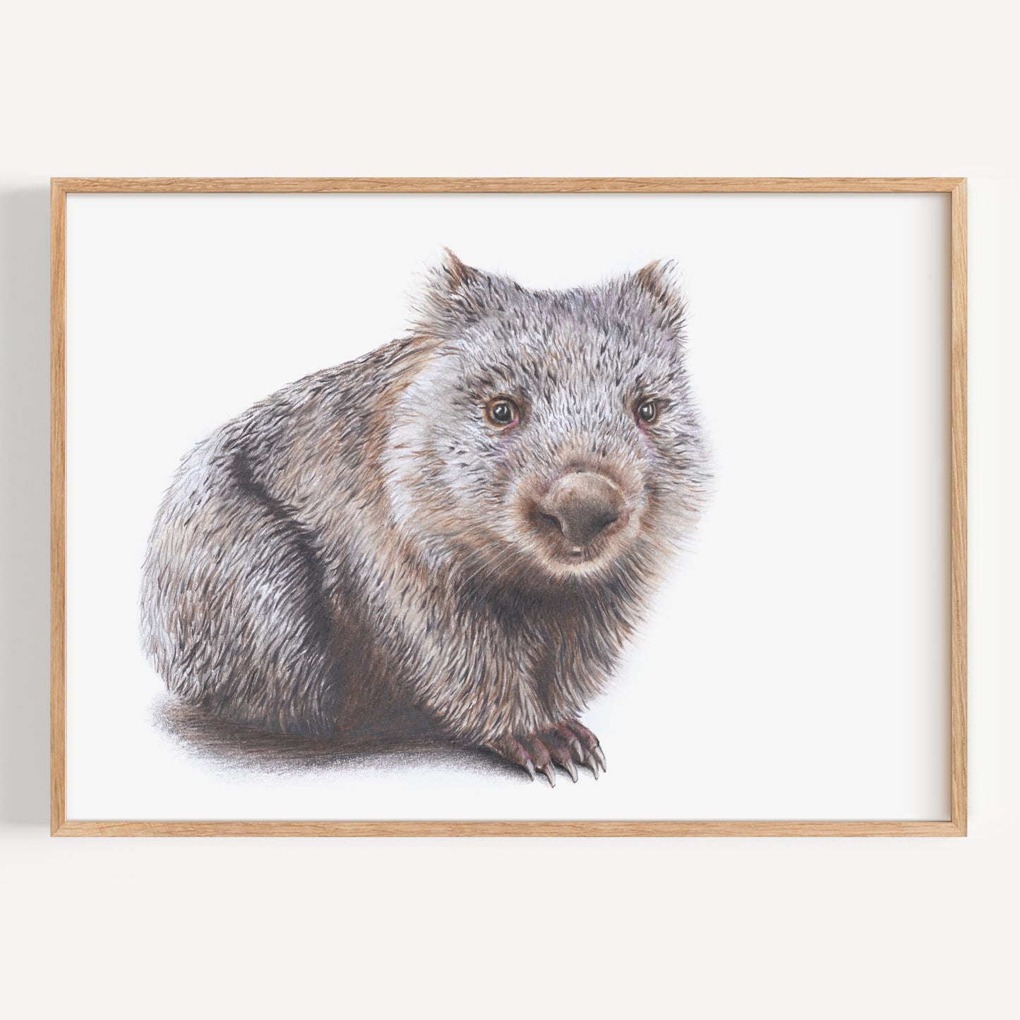 Wombat - Fine Art Print