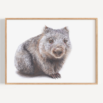 Wombat - Fine Art Print