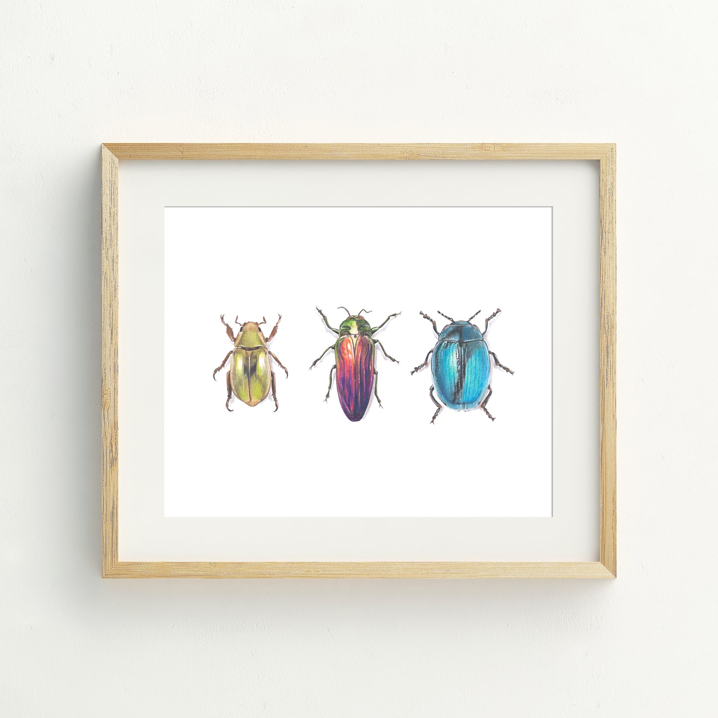 Scarab Beetles Fine Art Print