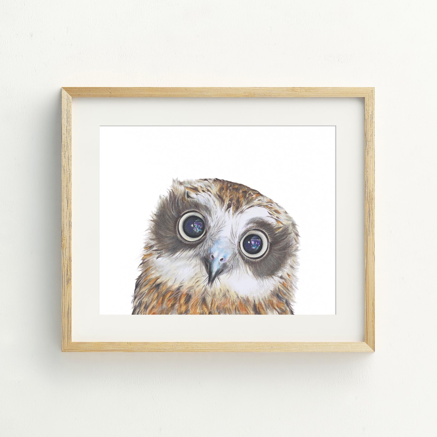 Boobook Owl Fine Art Print