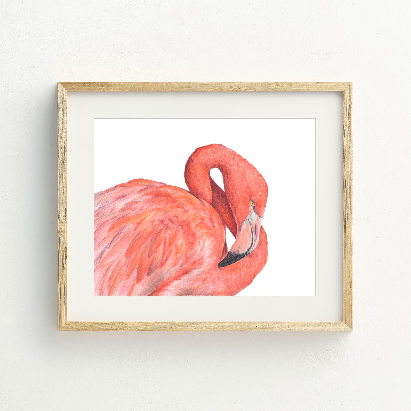 Great Flamingo Fine Art Print