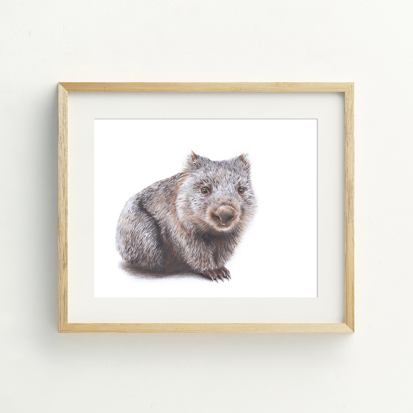 Wombat Fine Art Print